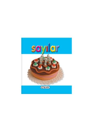 MİNİ KİTAPLAR D.-SAYILAR
