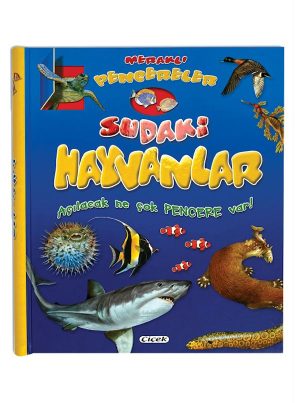 Meraklı Pencereler D.-Sudaki Hayvanlar